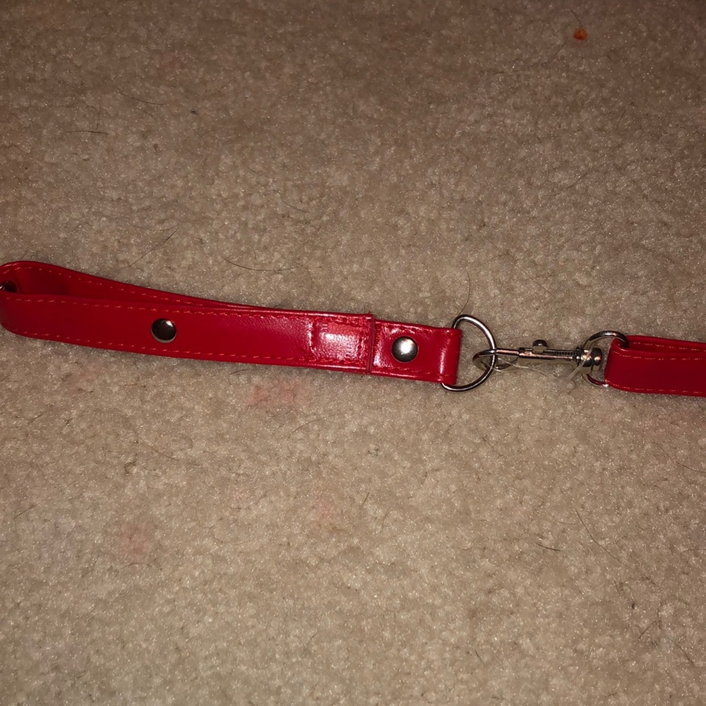 Adorable leash + collar for stuffed animals